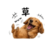 857718720