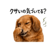 857718731