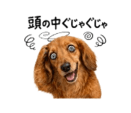 857718734