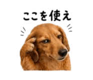857718736