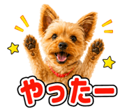 857719848
