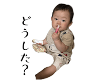 857719950