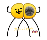 857720936