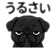 857721568