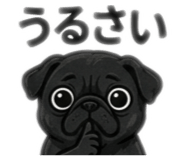 857721569