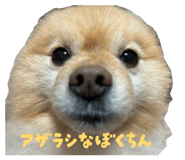 857722161
