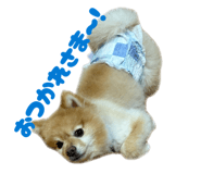 857722164
