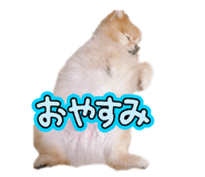 857722167