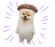 857722168
