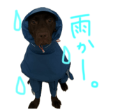 857724000