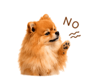 857724120