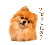 857724123
