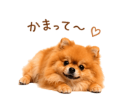 857724126