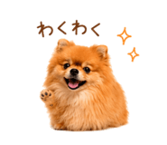 857724127