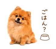 857724131