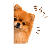 857724134