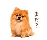 857724136
