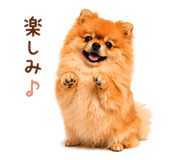 857724139