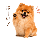 857724140