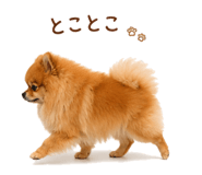 857724143