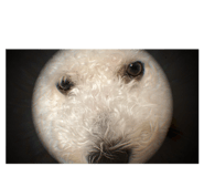 857724578
