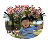 857724661