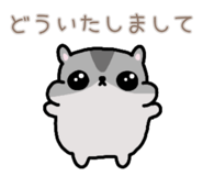 857725241