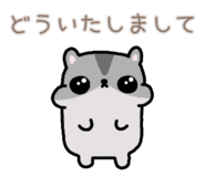 857725243