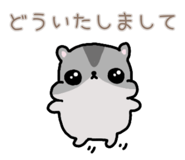 857725244