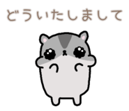 857725245