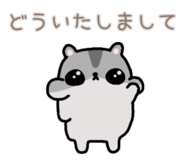 857725251