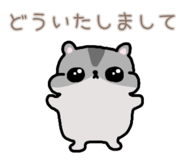 857725252