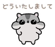 857725255