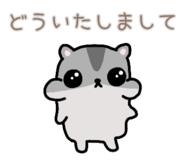 857725256