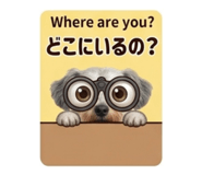 857725397