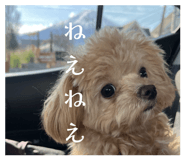 857725430