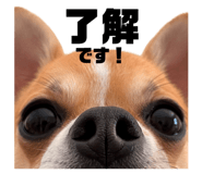 857725482
