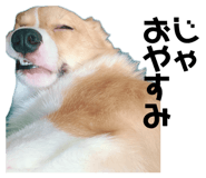 857725646
