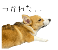 857725656