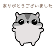 857725694