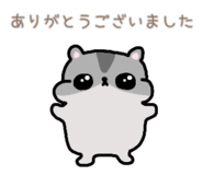 857725699