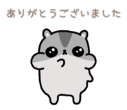 857725702