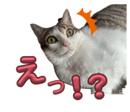 857725745