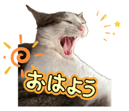 857725750
