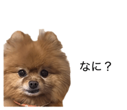 857726817