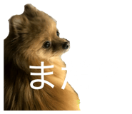 857726819