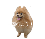857726821