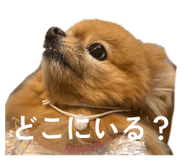 857726825