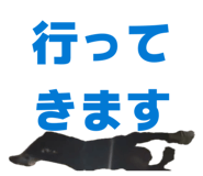 857727574