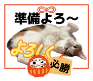 857727579
